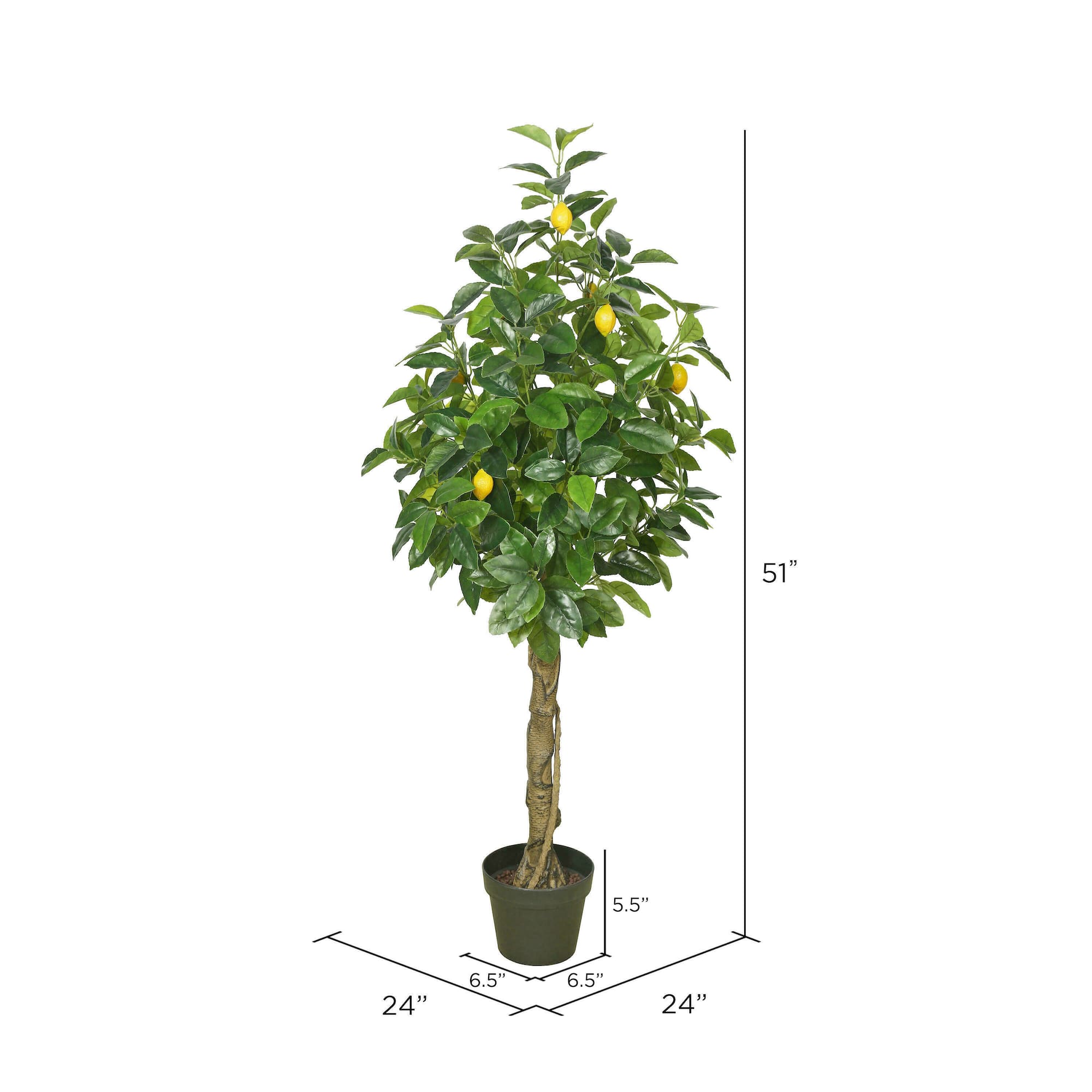 4ft. Potted Lemon Tree